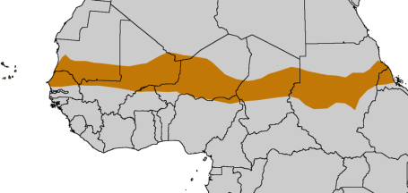 The Sahel Region. (Wikipedia)